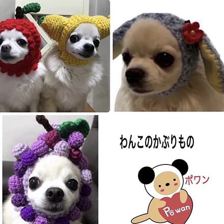 ハートの実